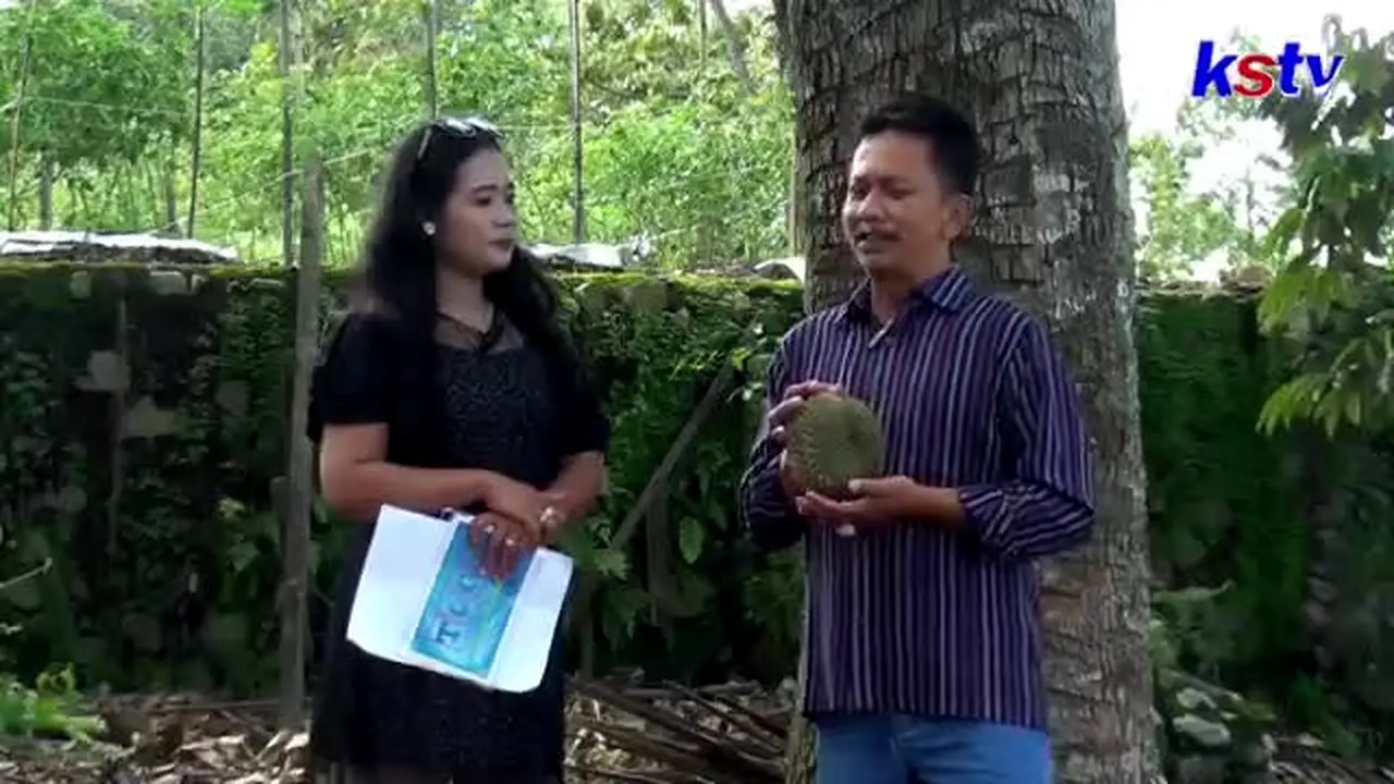 Kilisuci TV live