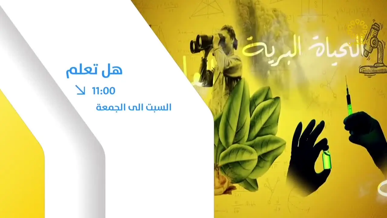 KTV Arabe in diretta