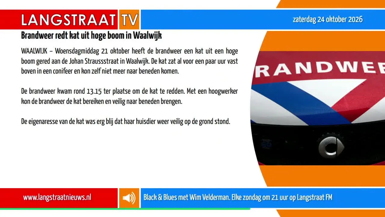 Langstraat TV — прямой эфир