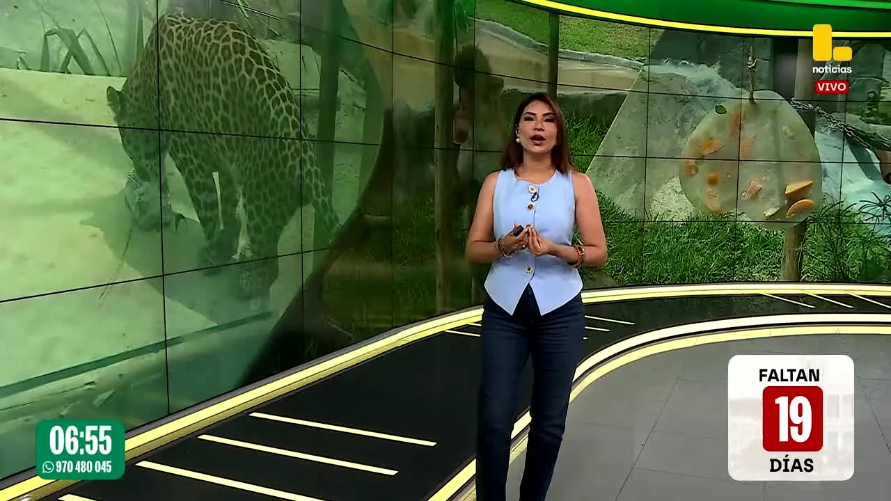 Latina live