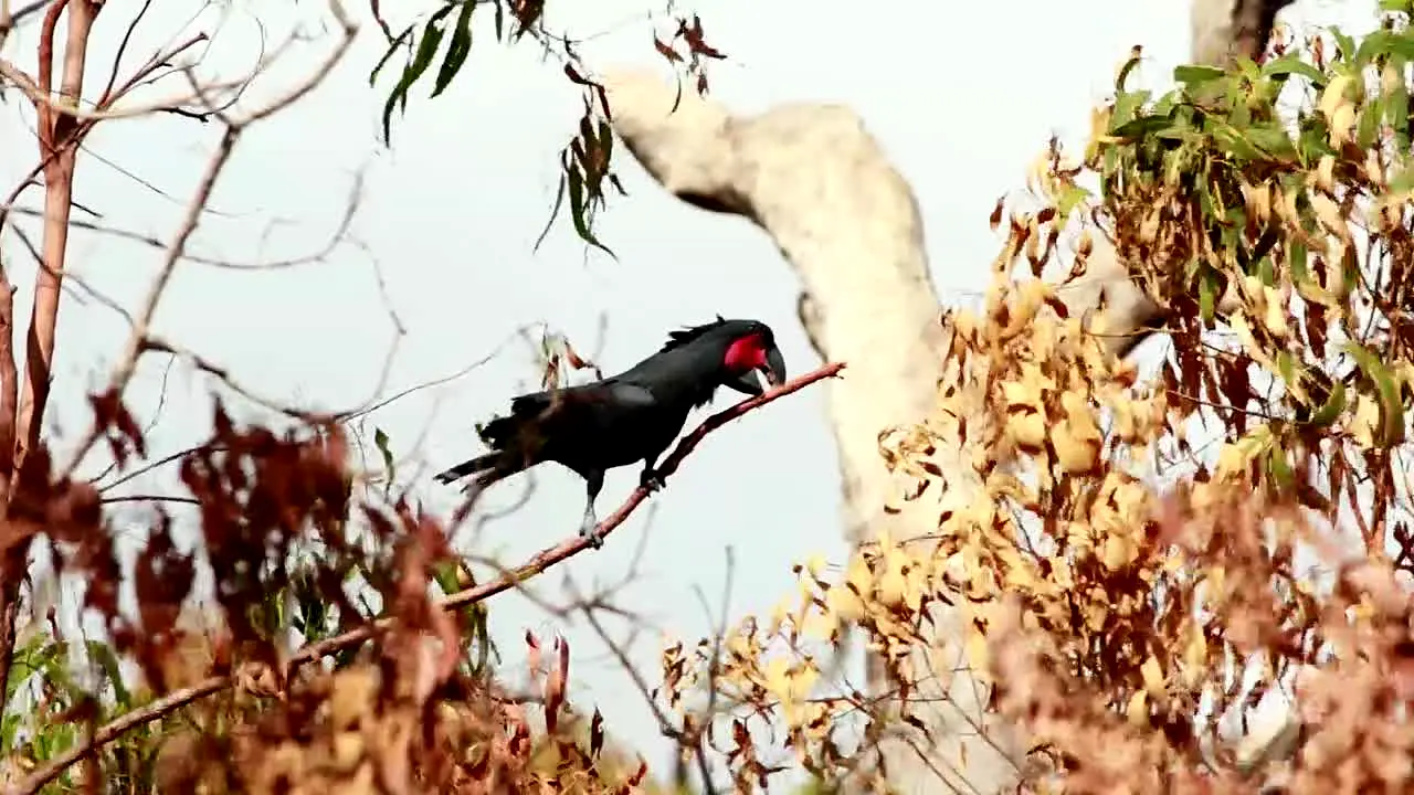 Love Nature live