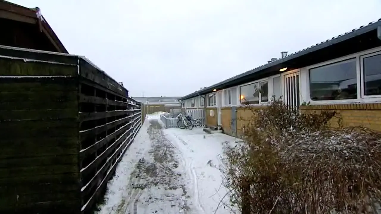 Luksusfælden in diretta