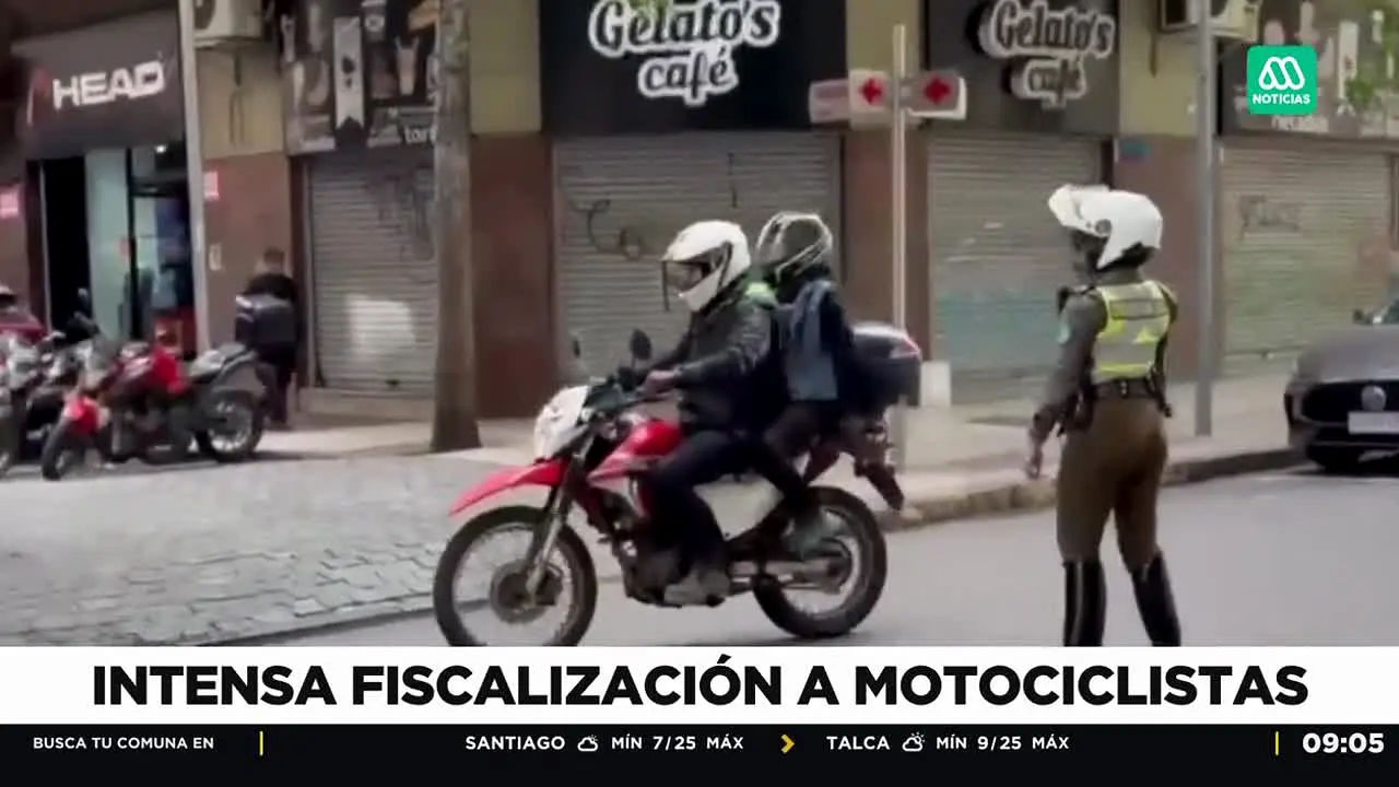 Mega en vivo