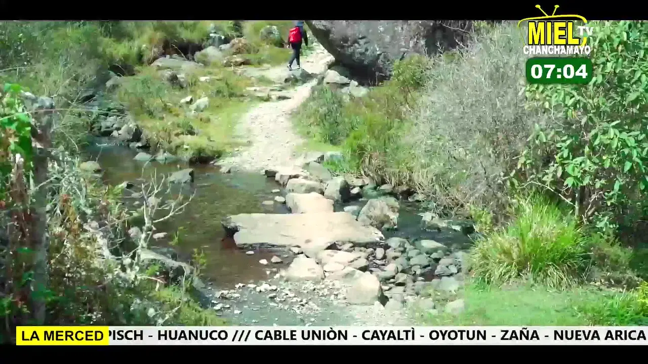 Miel TV live