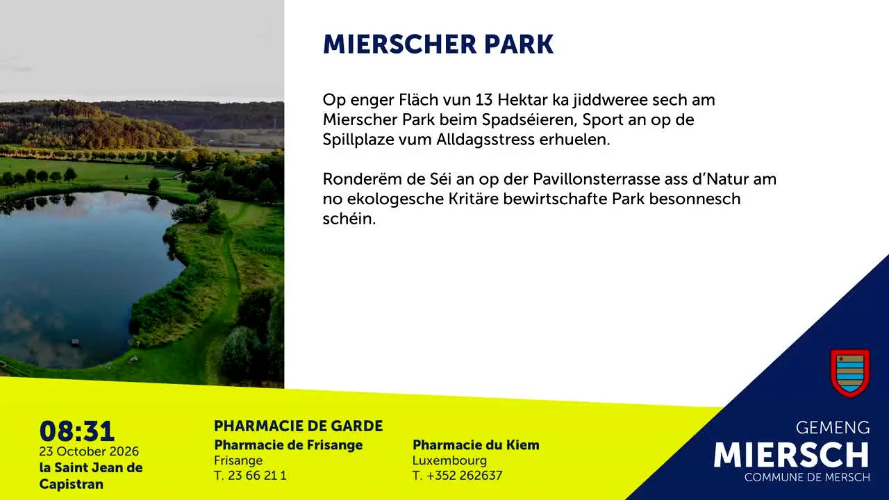 MierschTV live