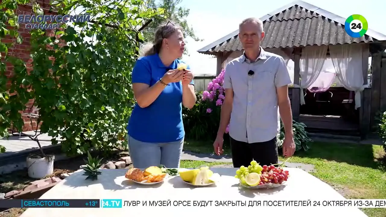 Mir 24 live