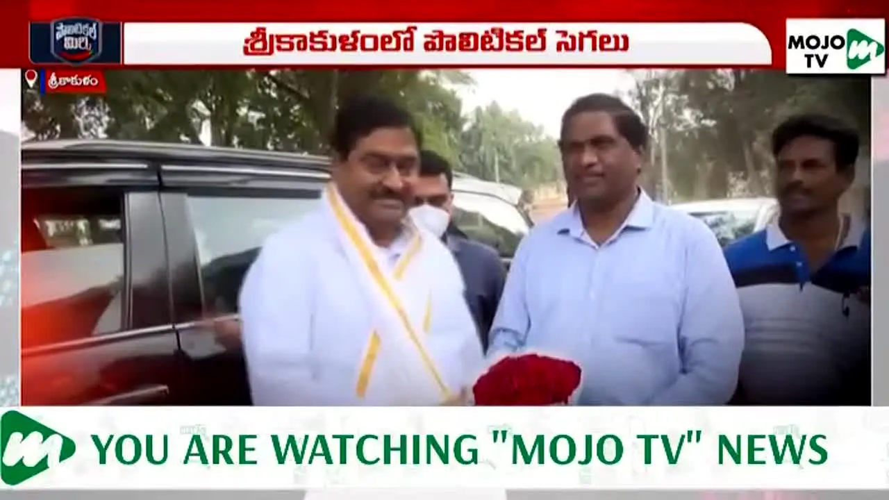 Mojo TV live