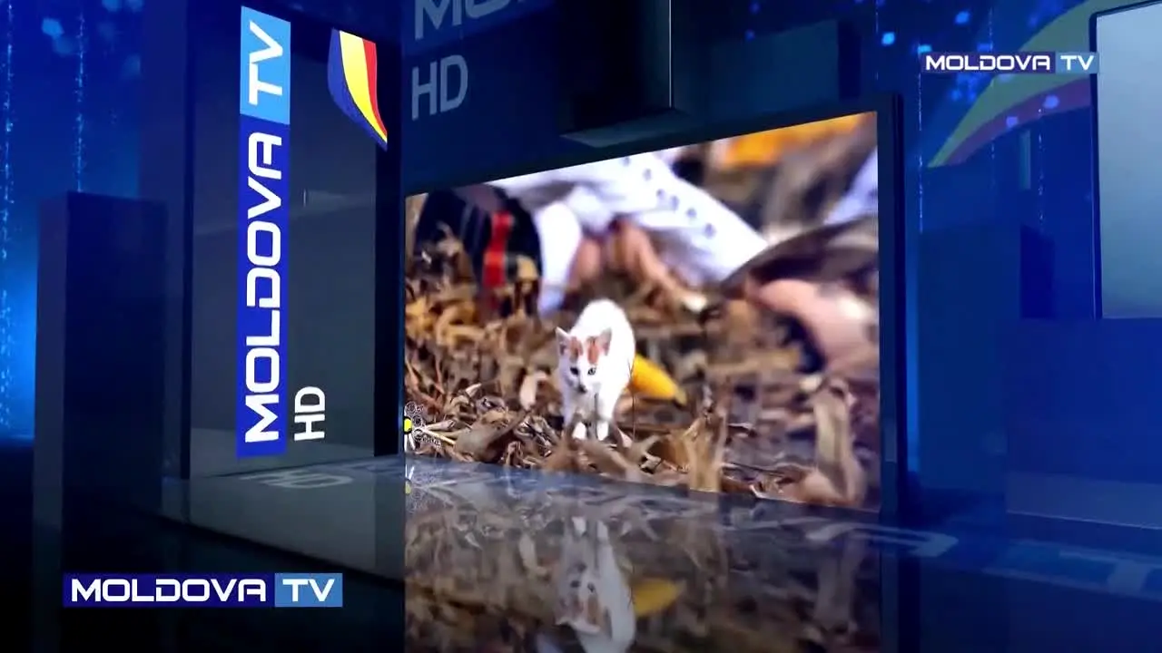 Moldova TV — прямой эфир