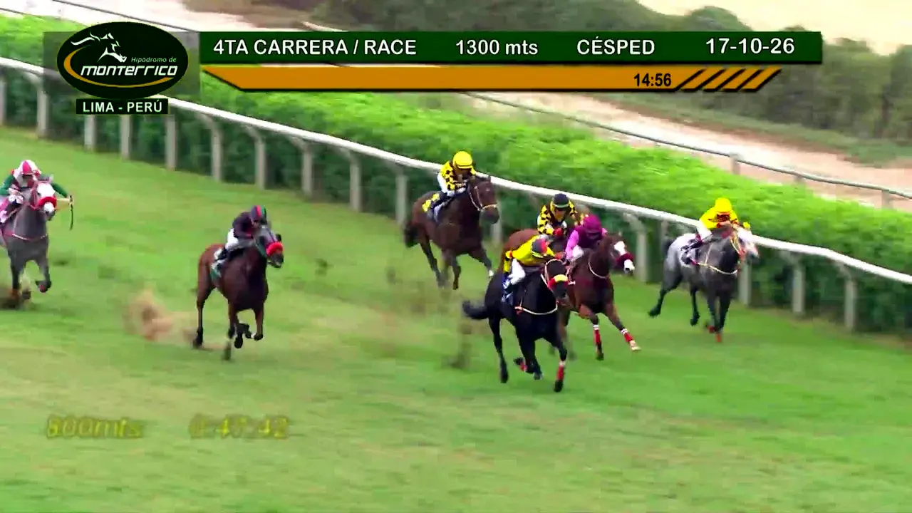 Monterrico TV in diretta