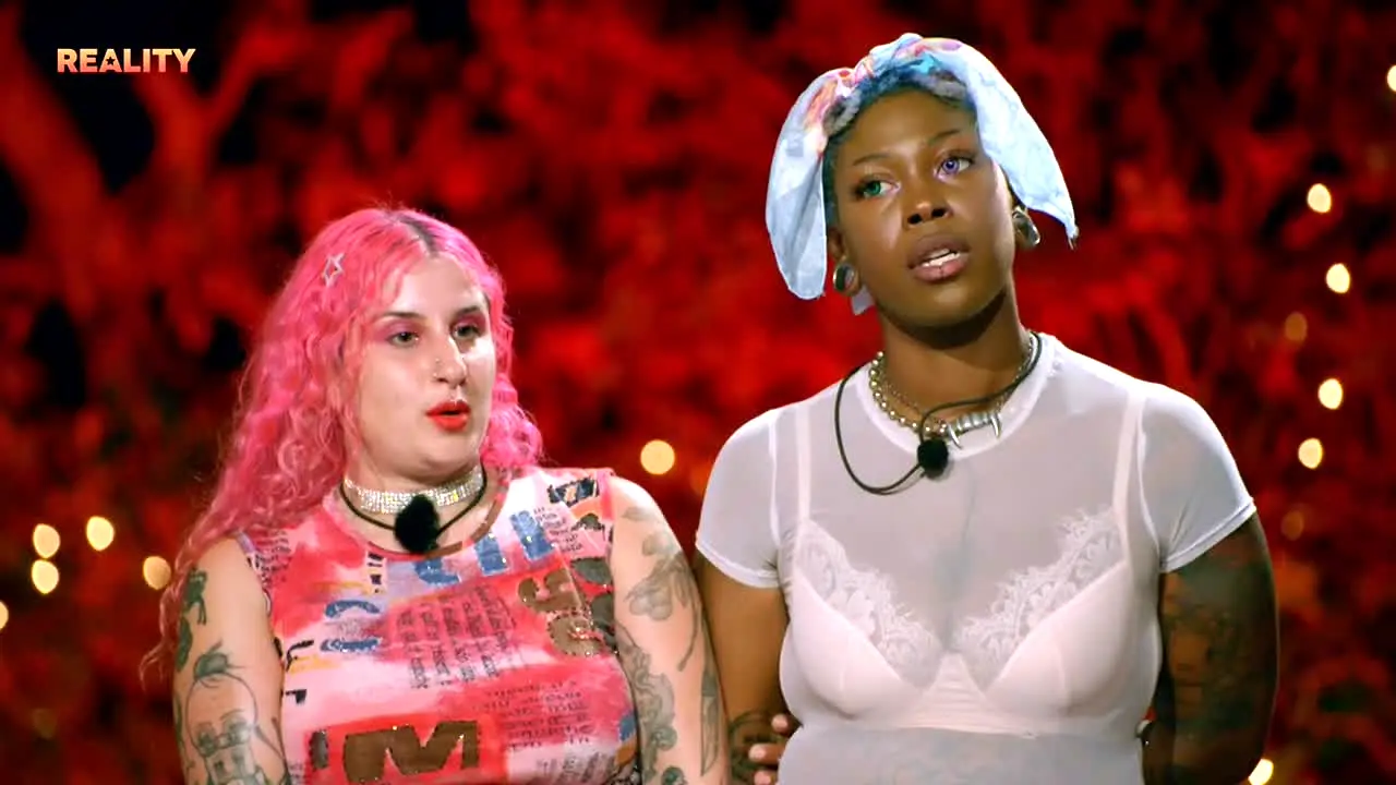 MTV Reality live