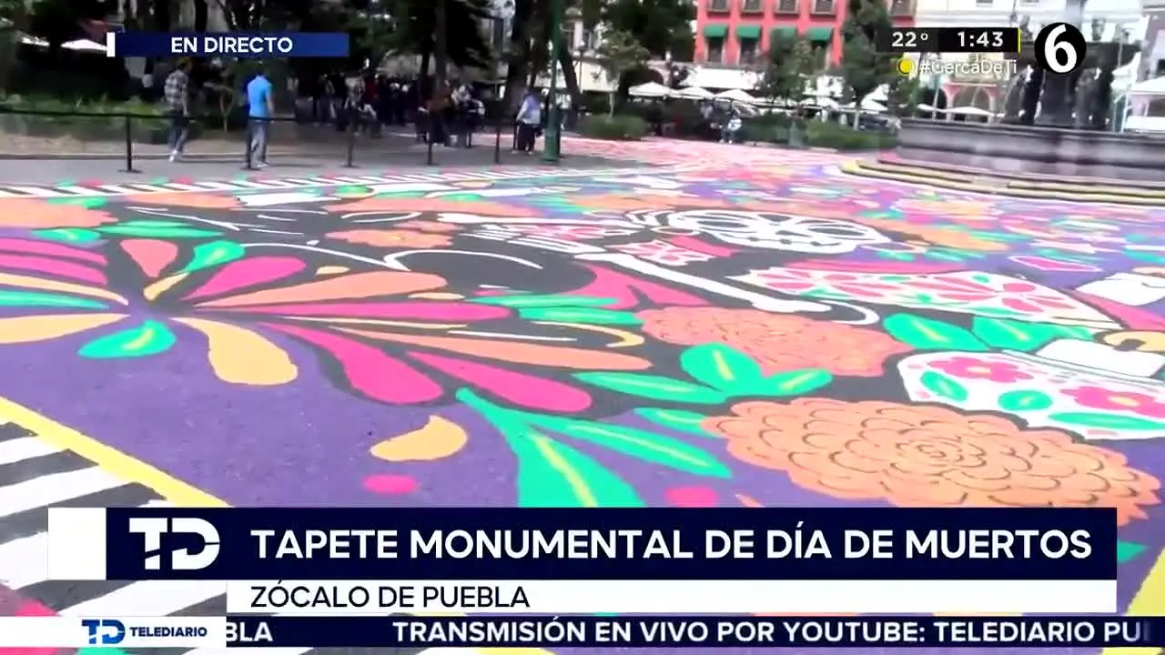 Canal 6 Multimedios live