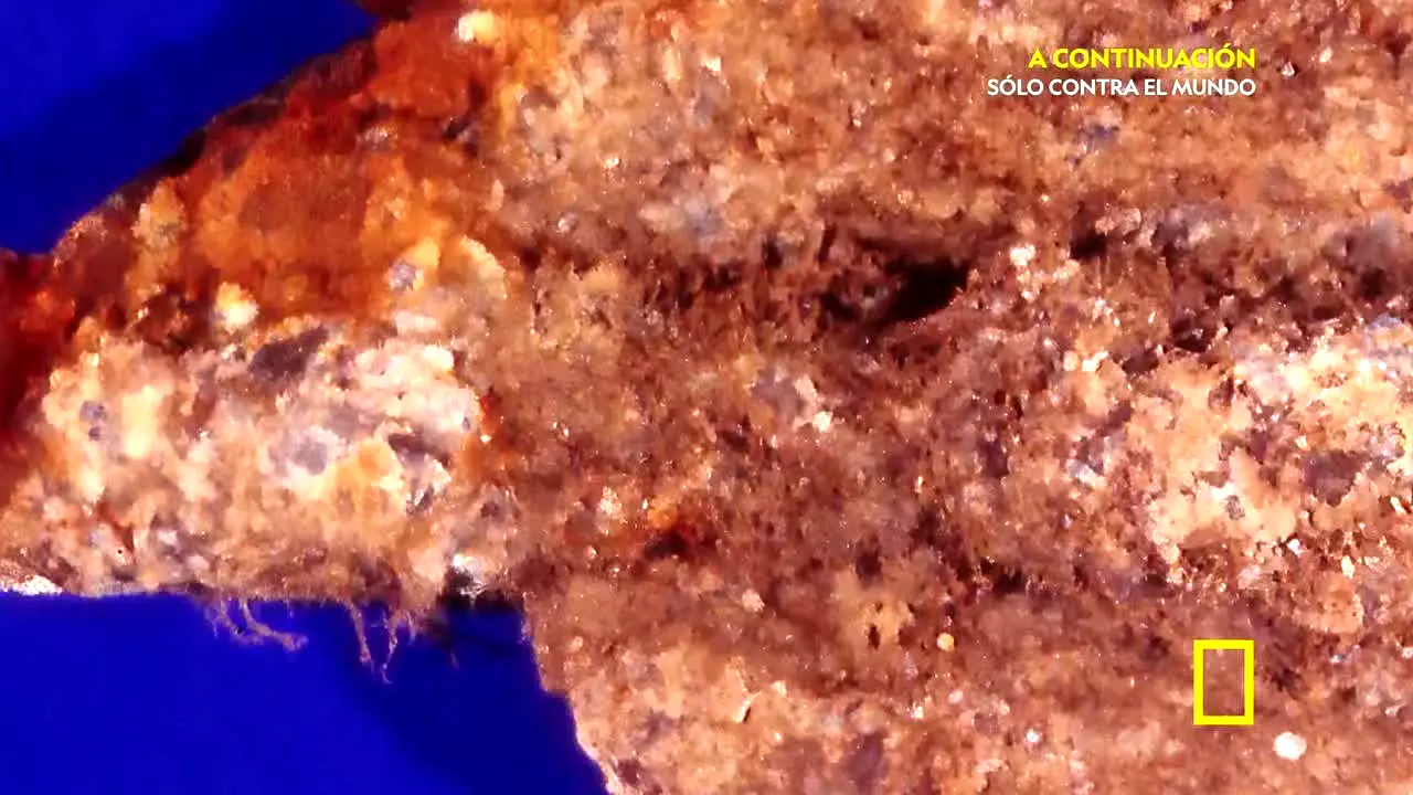 National Geographic in diretta