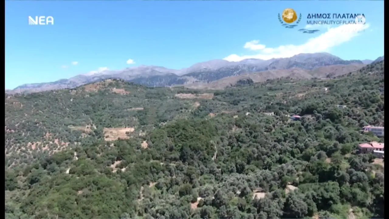Nea TV en vivo