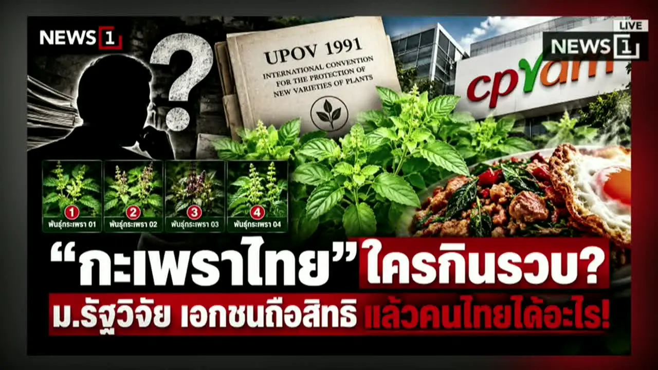 News1 in diretta