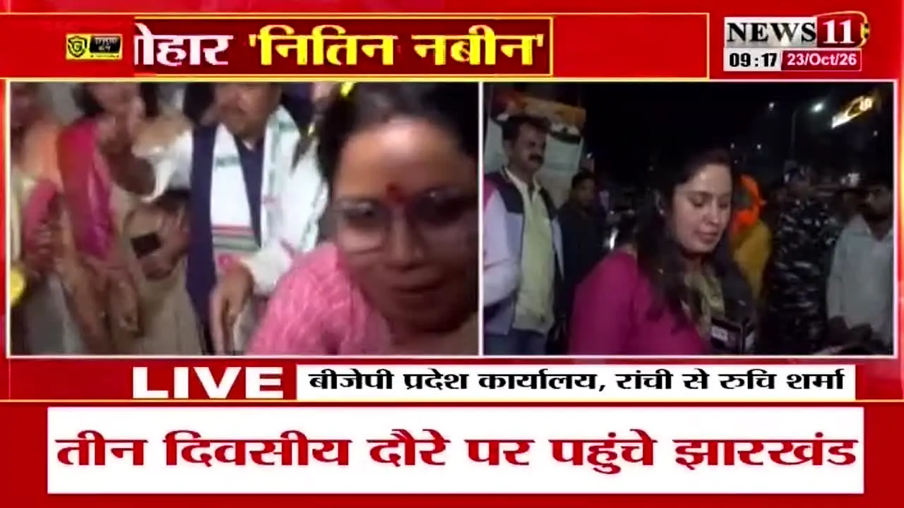 News 11 live