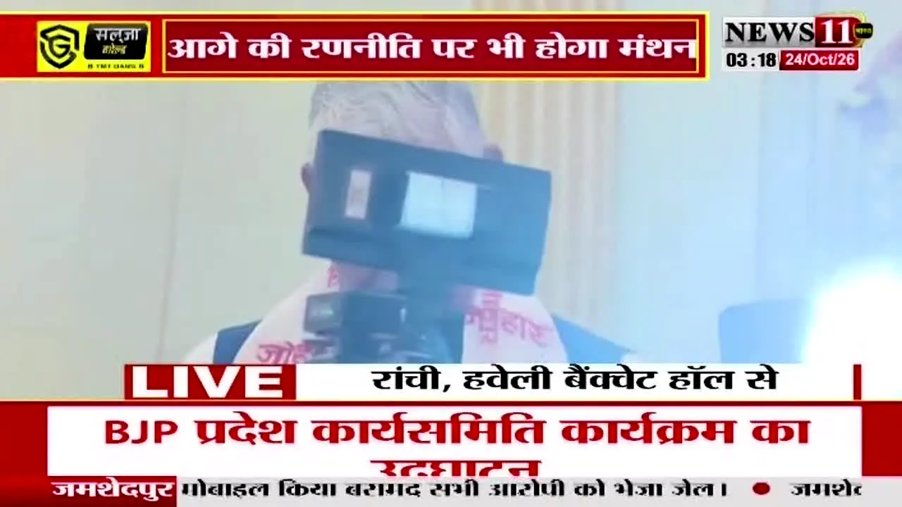News 11 live