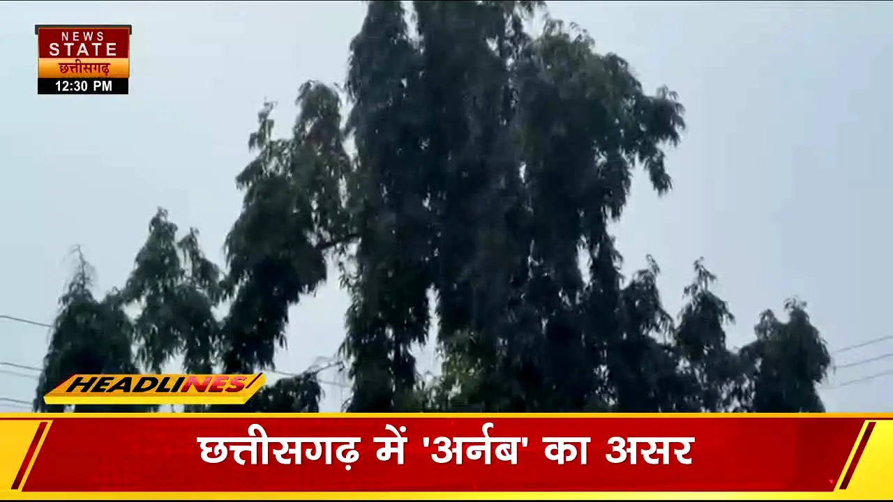 News State MP CG live