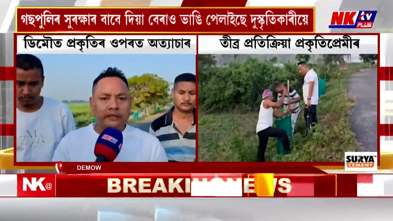 NK TV 24x7 live