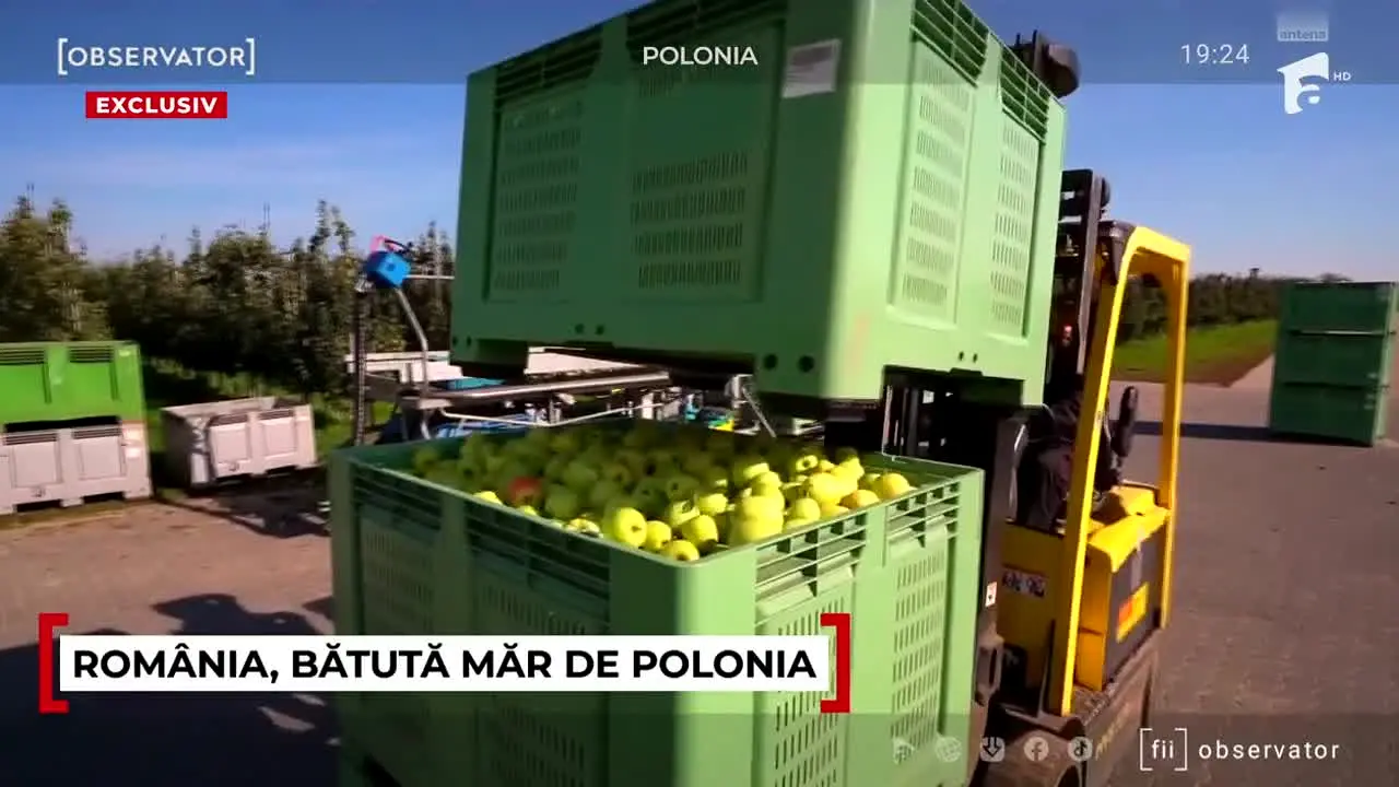 Observator News in diretta