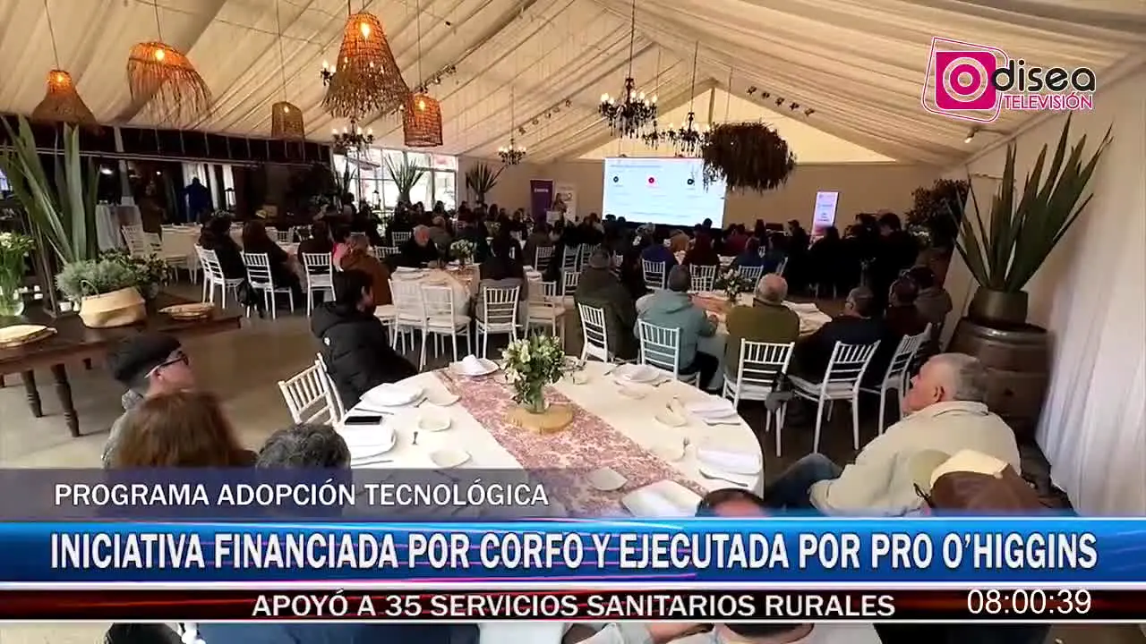 Odisea TV live