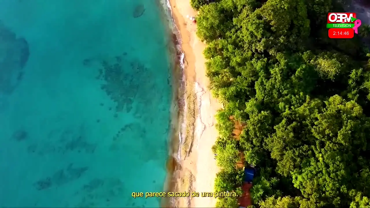 OEPM TV na żywo