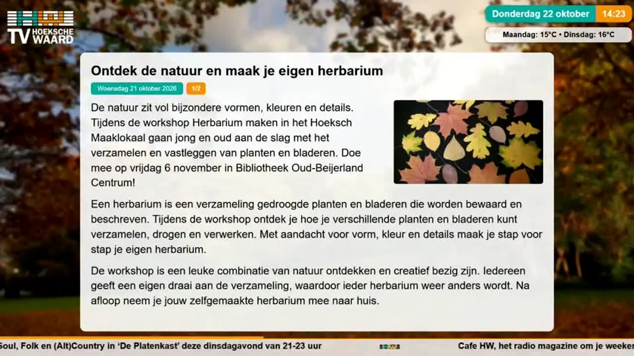Omroep Hoeksche Waard — прямой эфир