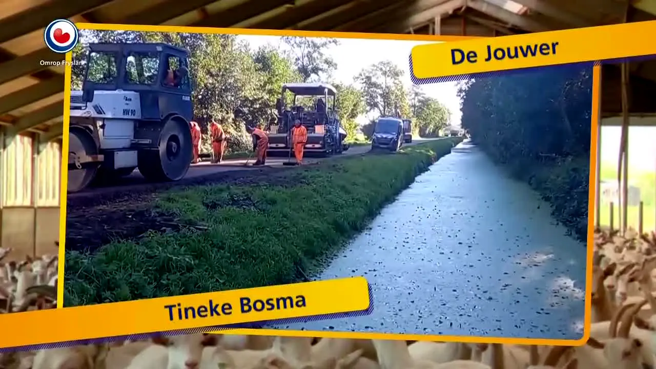 Omrop Fryslan live
