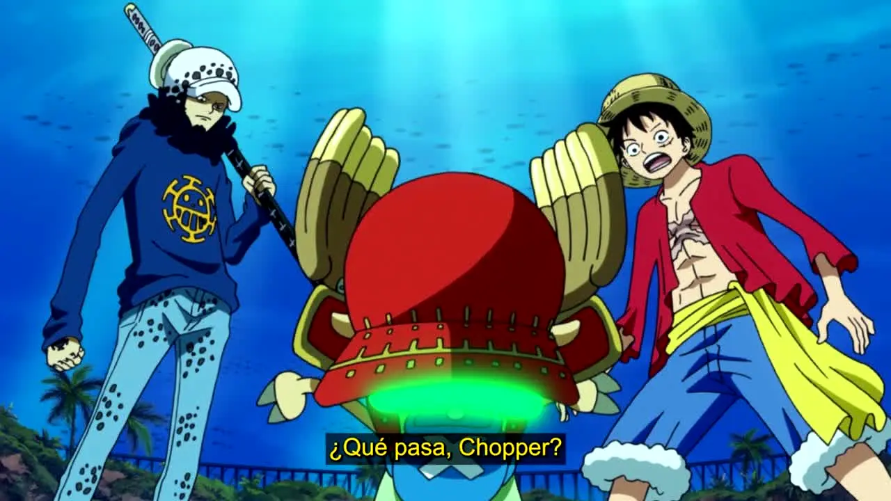 One Piece live