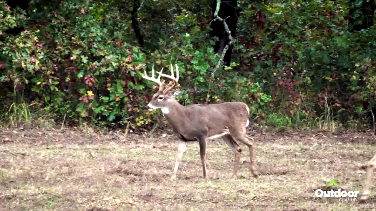 Outdoor Channel live