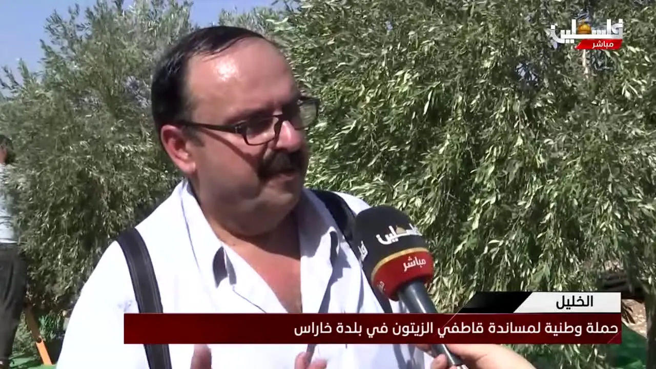 Palestine Mubasher live