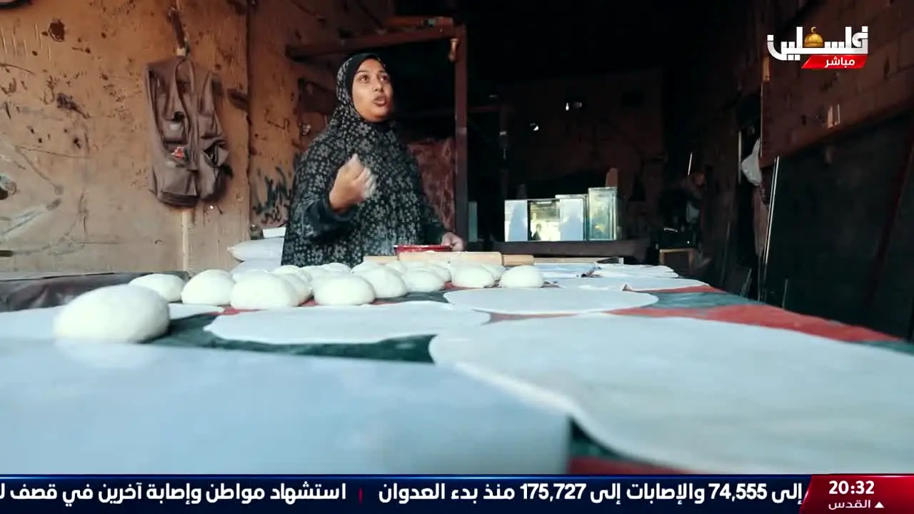 Palestine Mubasher live