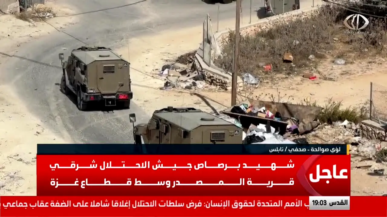 Palestine Today en vivo