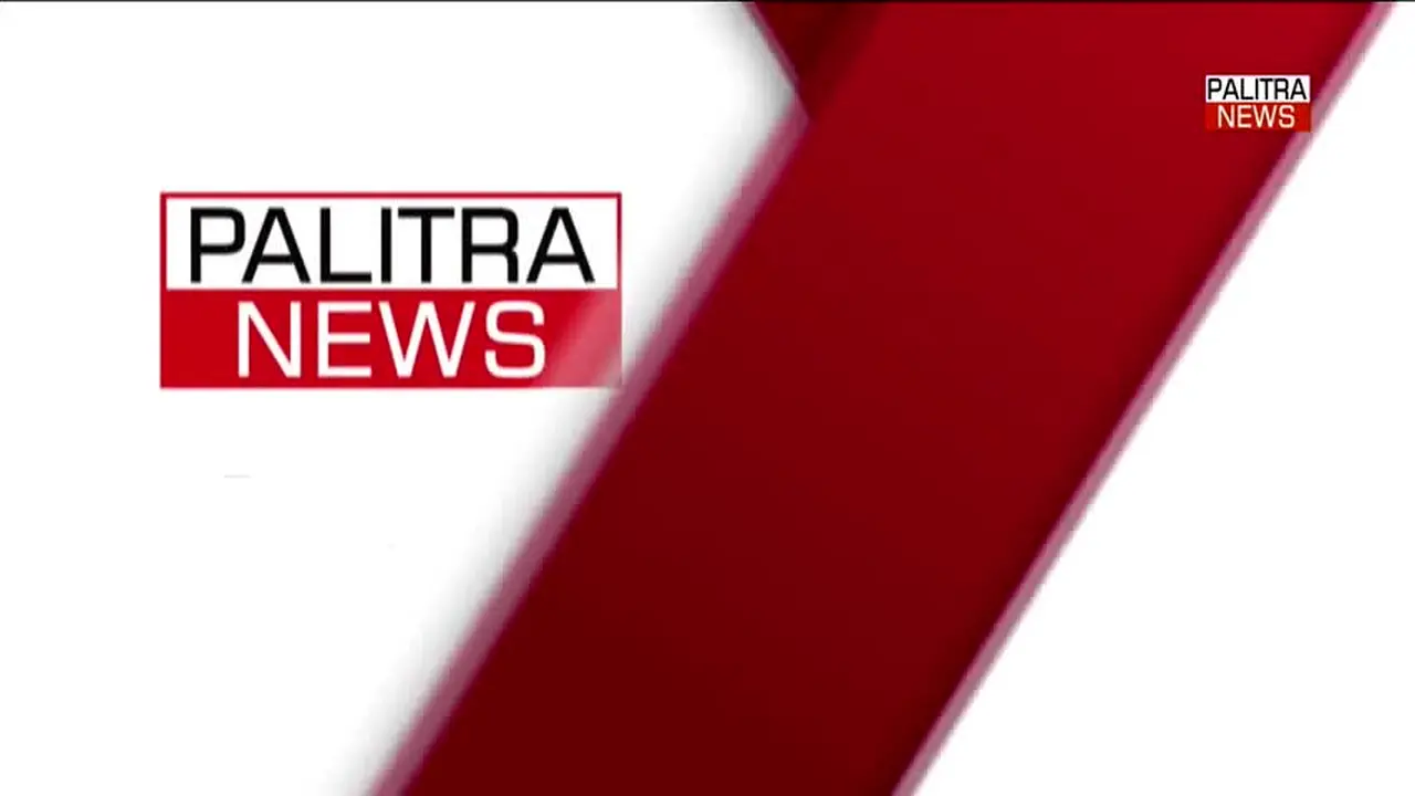 Palitra News live