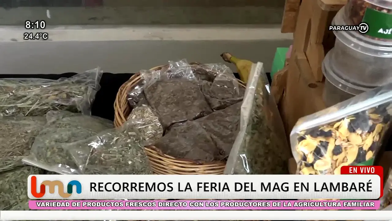 Paraguay TV live
