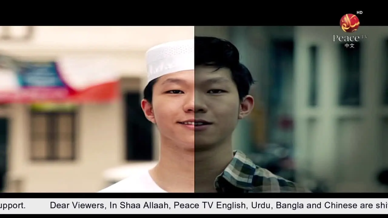 Peace TV Chinese live