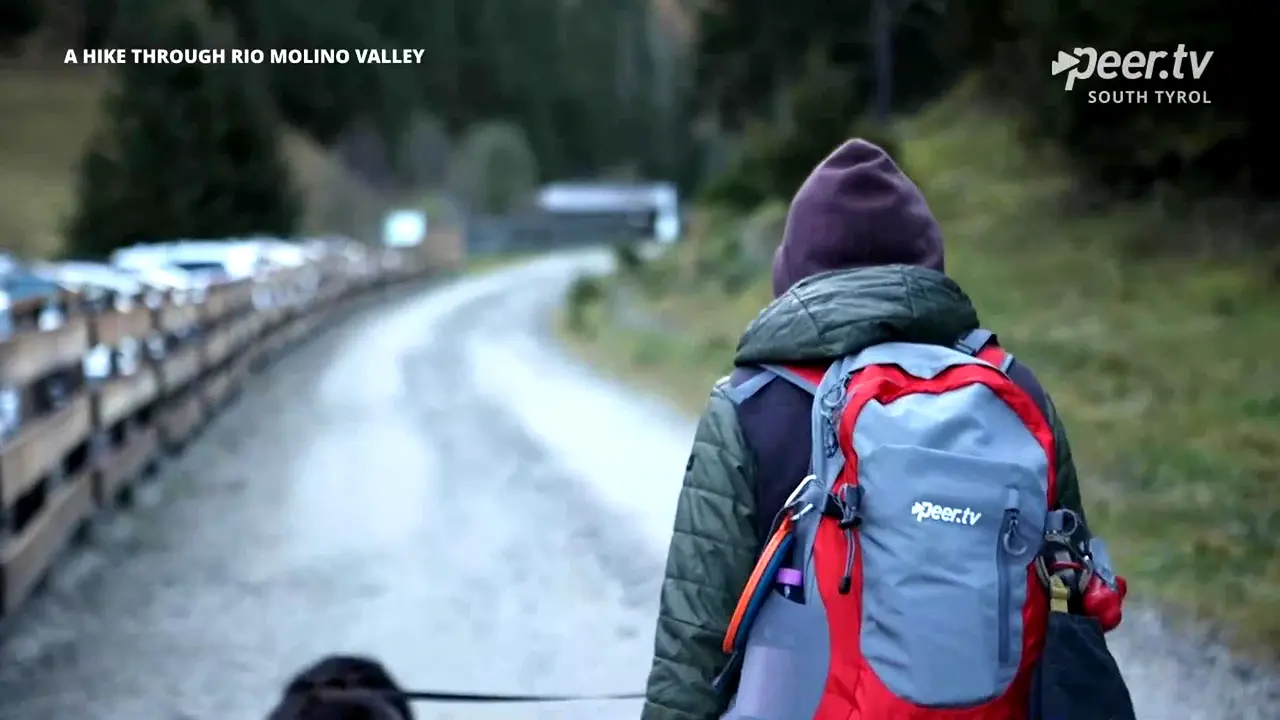 Peer TV South Tyrol live