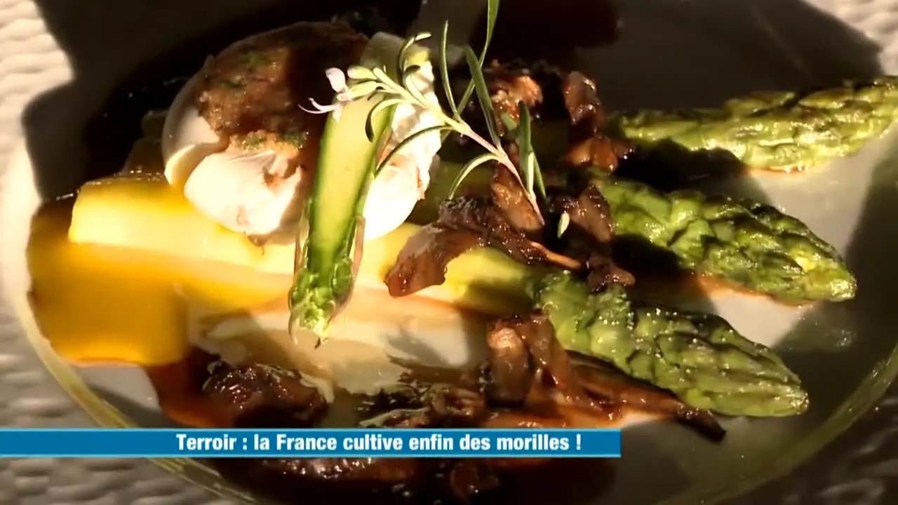 Pluto TV Cuisine live