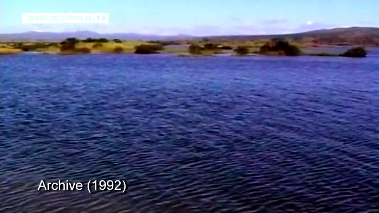 Pluto TV Explore live
