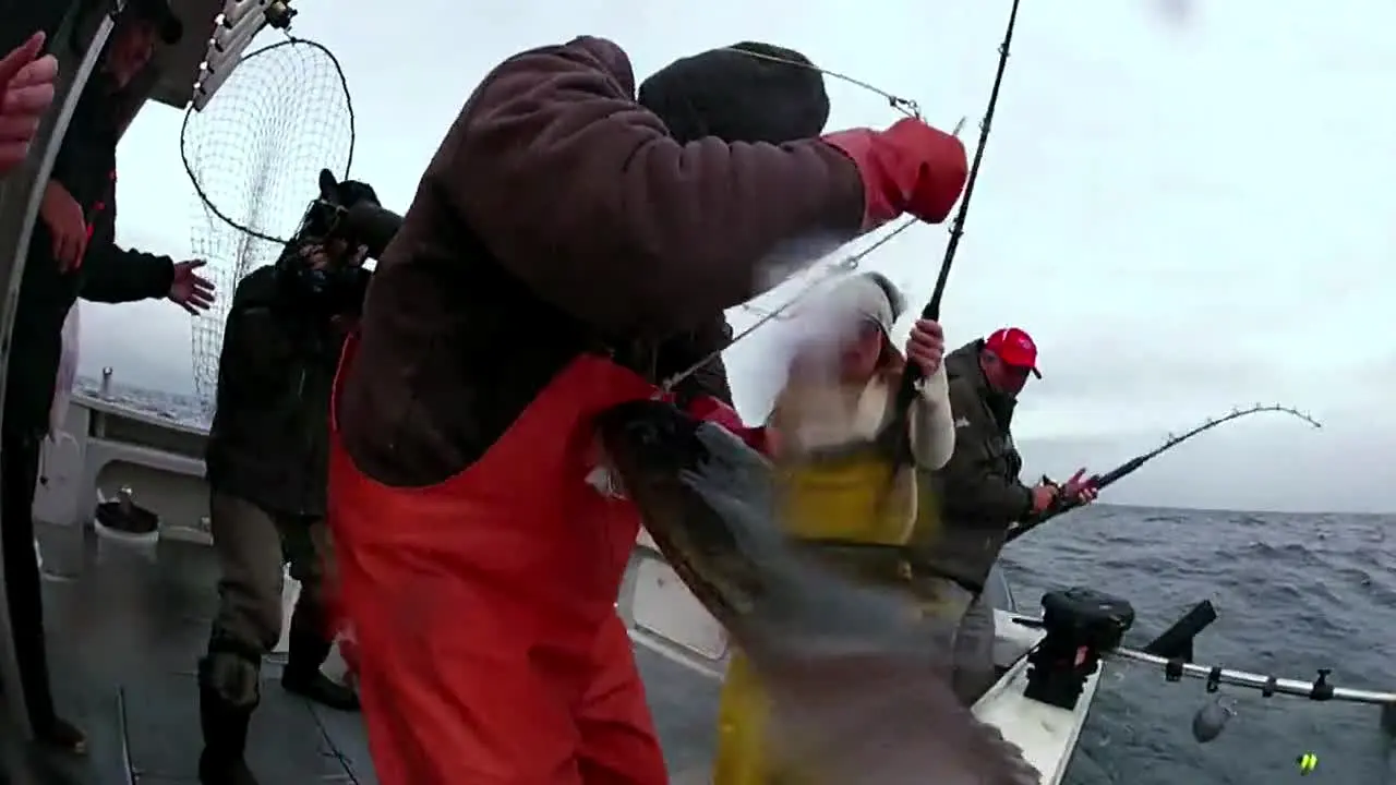 Pluto TV Fishing na żywo