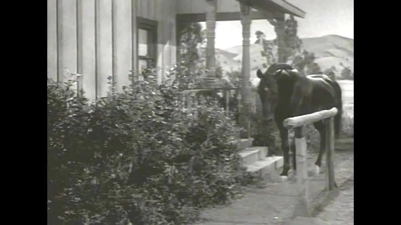 Pluto TV Western Serien ao vivo