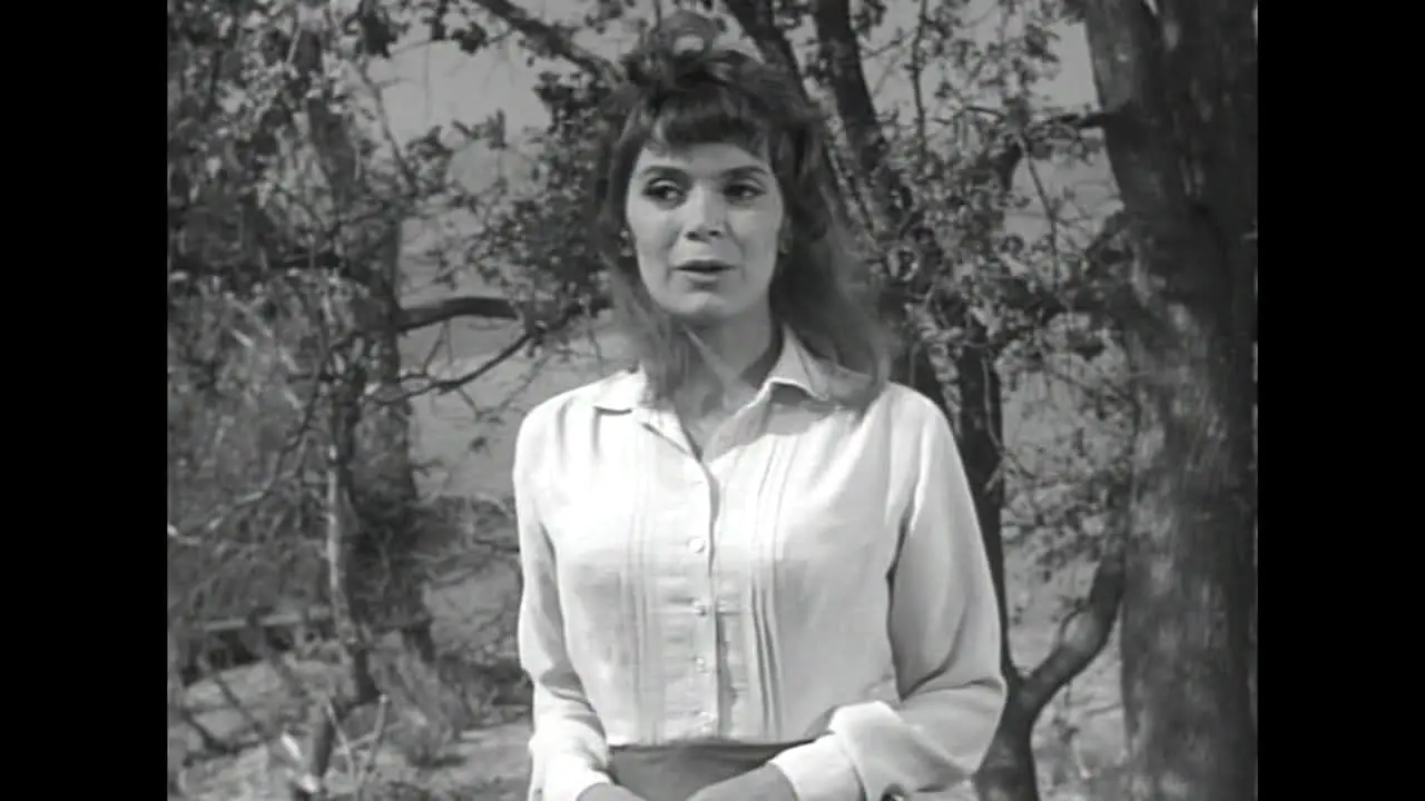 Pluto TV Westerns ao vivo