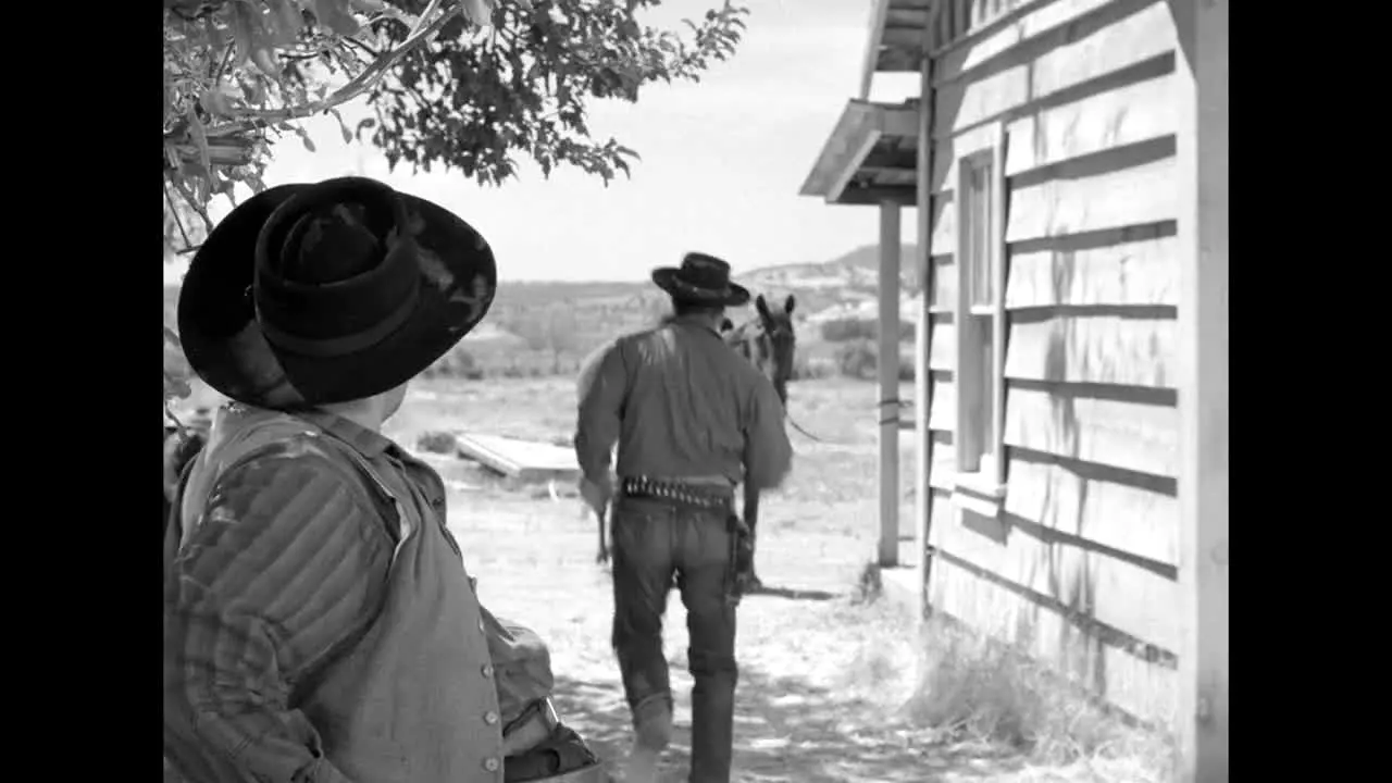 Pluto TV Wild West na żywo