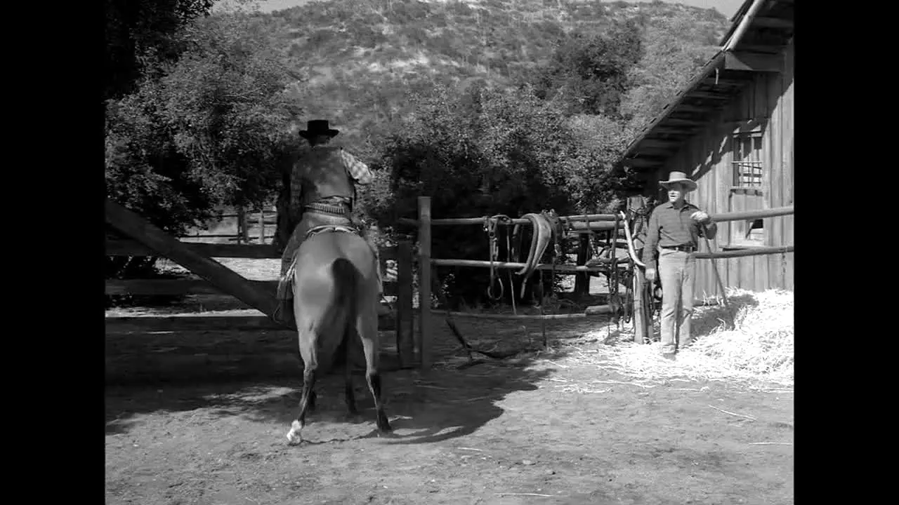 Pluto TV Wild West live
