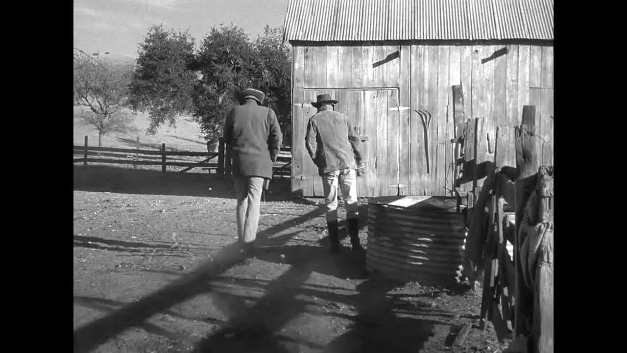 Pluto TV Wild West in diretta