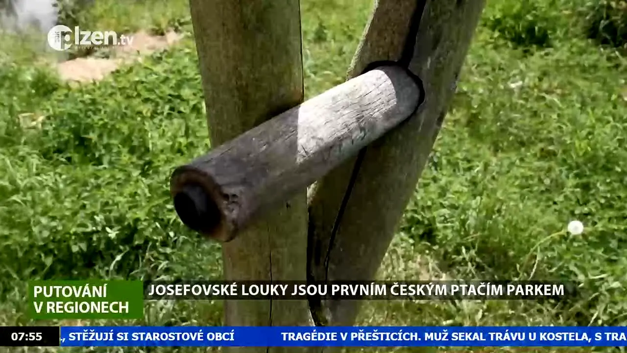 Plzen TV live