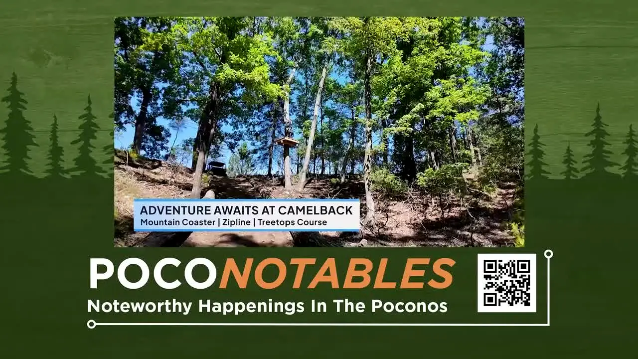 Pocono Television Network live