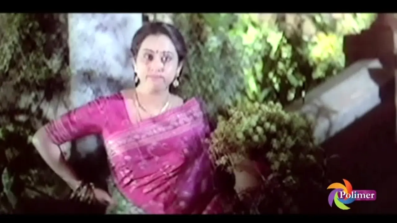 Polimer TV live