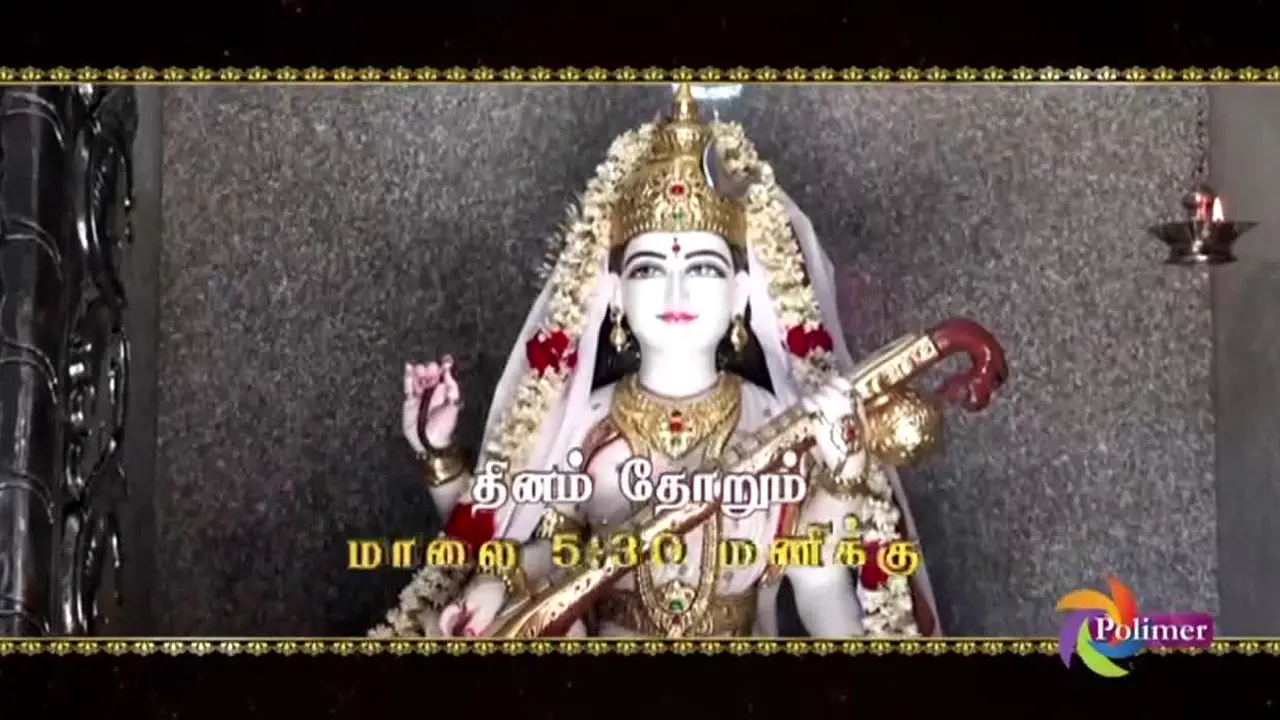 Polimer TV live