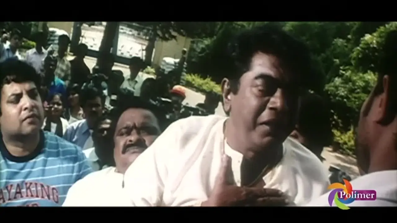 Polimer TV live