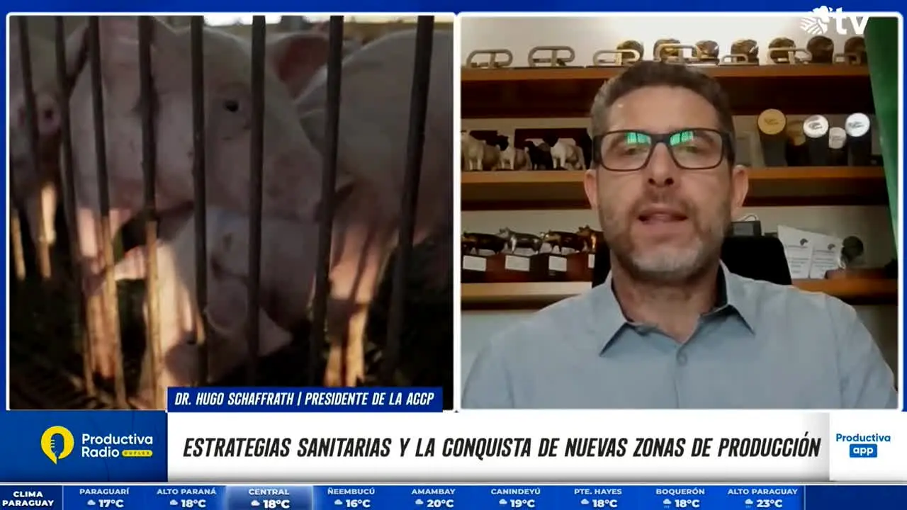 Productiva TV live